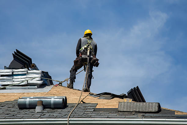 Professional Gutter Installation technician working in Bear Creek, AL